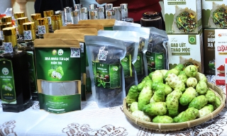 Bắc Ninh hỗ trợ khuyến khích phát triển các sản phẩm OCOP được công nhận 3 sao, 4 sao năm 2025